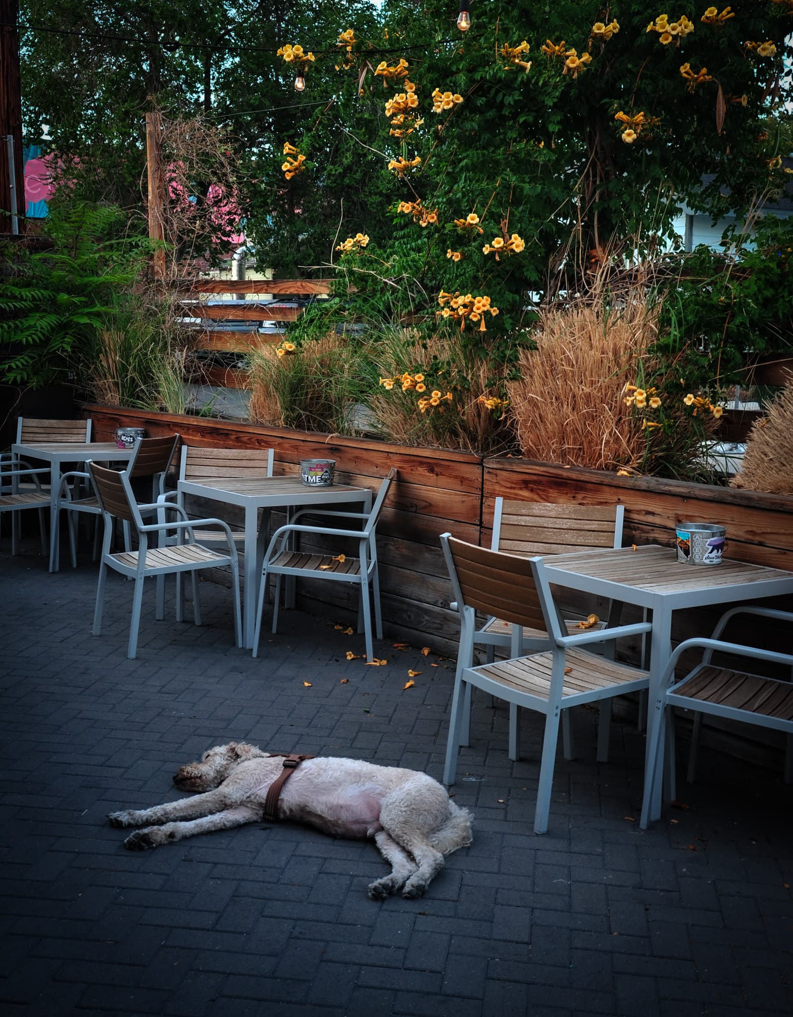 Reno Public House